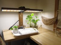 自作植物育成ＬＥＤライト